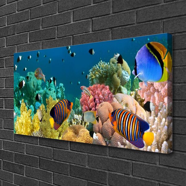 Tablou pe panza canvas Coral Reef Natura Multi