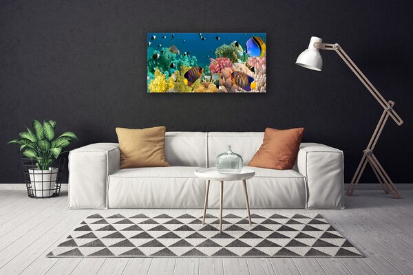 Tablou pe panza canvas Coral Reef Natura Multi
