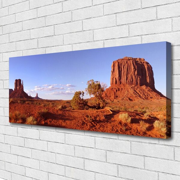 Tablou pe panza canvas Desert Peisaj Brun Verde