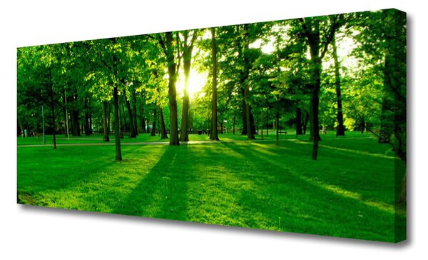 Tablou pe panza canvas Natural Pădurea Verde Maro