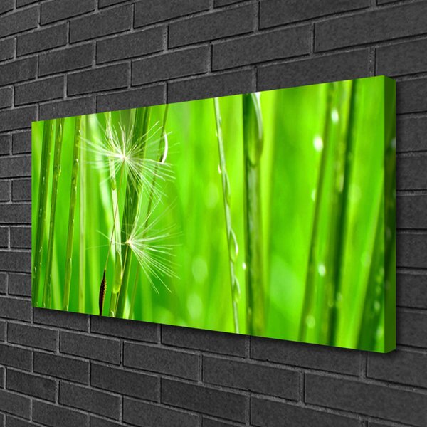 Tablou pe panza canvas Iarbă verde florale