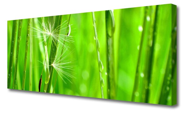 Tablou pe panza canvas Iarbă verde florale