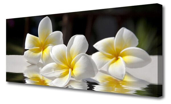 Tablou pe panza canvas Flori Floral Alb Galben