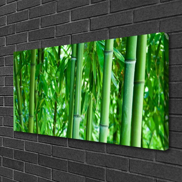 Tablou pe panza canvas Bamboo Peduncul Floral Verde