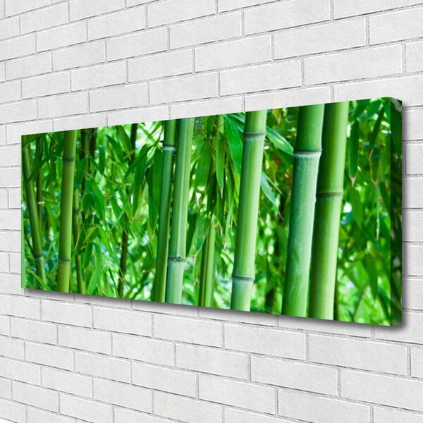 Tablou pe panza canvas Bamboo Peduncul Floral Verde