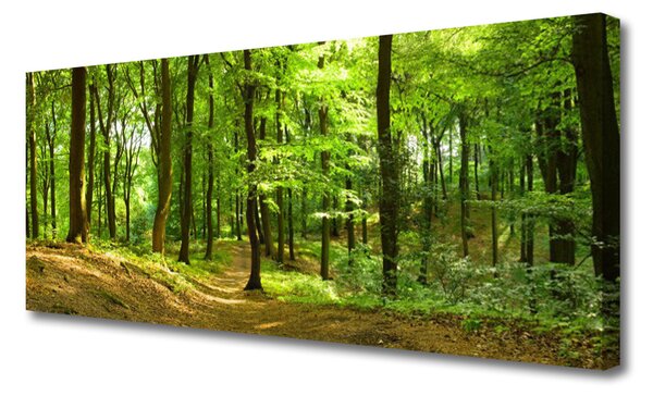 Tablou pe panza canvas Natural Pădurea Verde Maro