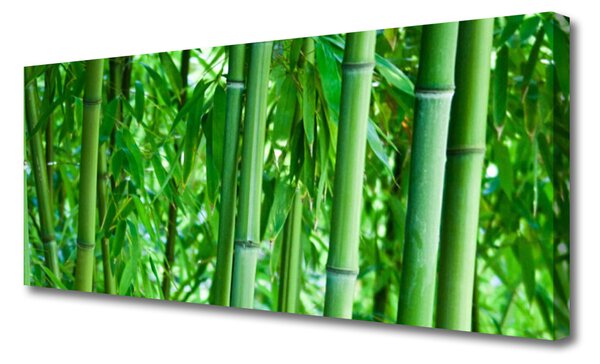Tablou pe panza canvas Bamboo Peduncul Floral Verde