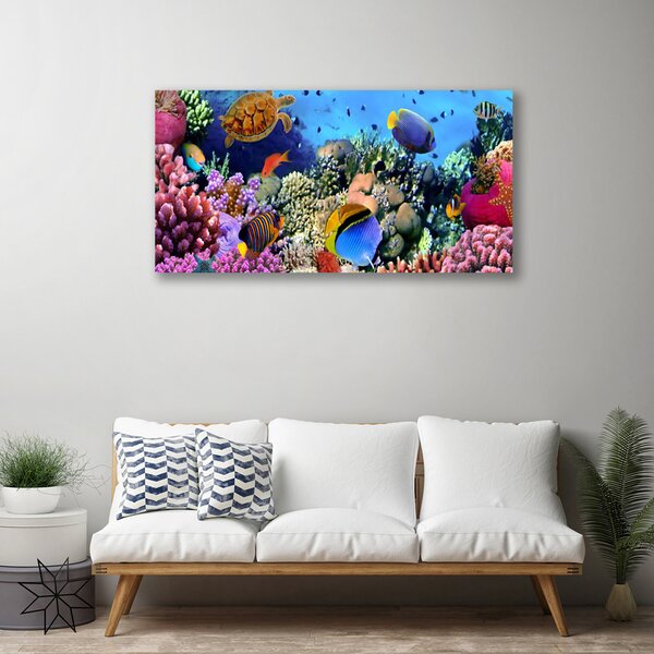 Tablou pe panza canvas Coral Reef Natura Multi