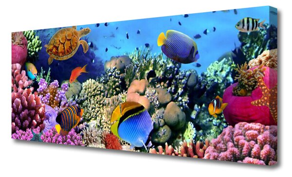 Tablou pe panza canvas Coral Reef Natura Multi