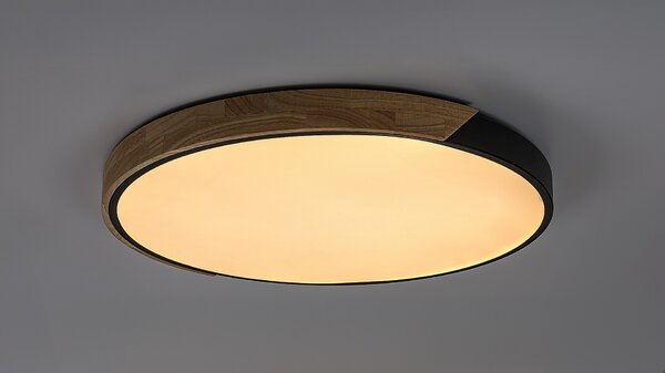 Rabalux Maple2 lampă de tavan x42 W negru-lemn 71418