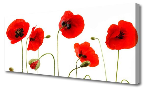 Tablou pe panza canvas Maci Floral Roșu Negru Verde