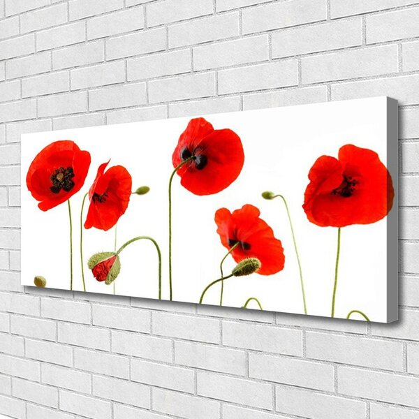 Tablou pe panza canvas Maci Floral Roșu Negru Verde