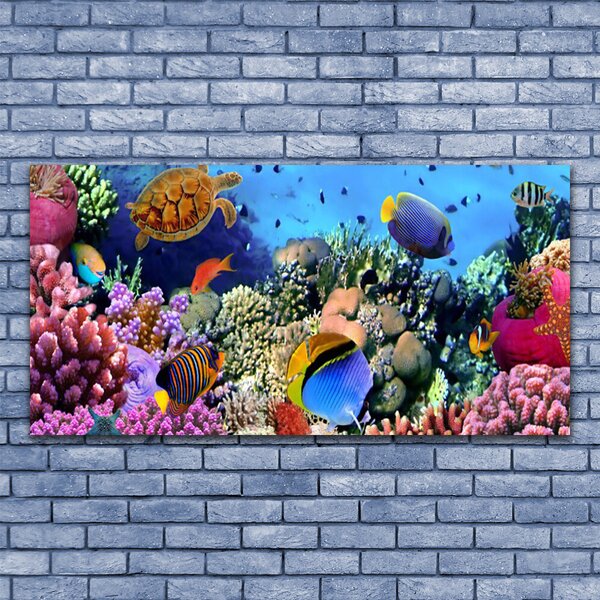 Tablouri acrilice Coral Reef Natura Multi