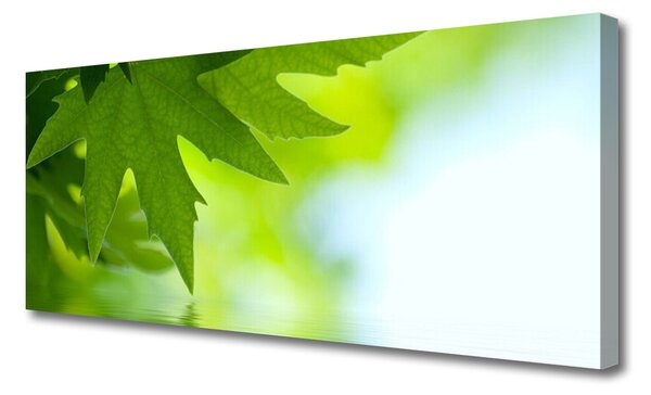 Tablou pe panza canvas Frunze Natura verde
