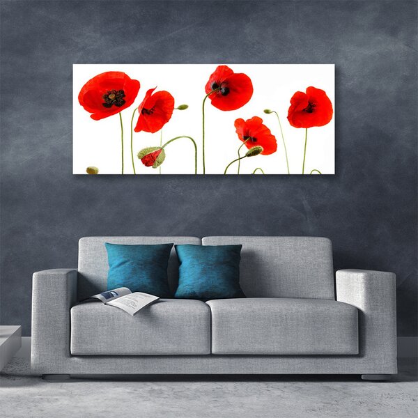 Tablou pe panza canvas Maci Floral Roșu Negru Verde