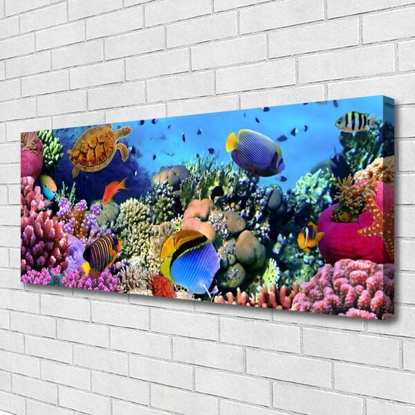 Tablou pe panza canvas Coral Reef Natura Multi