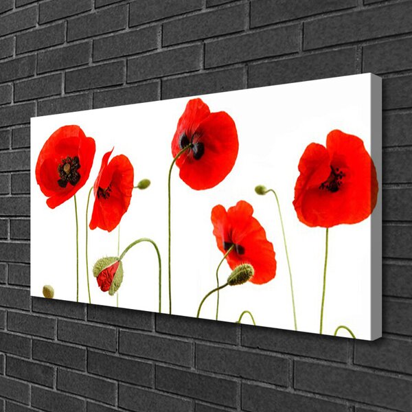 Tablou pe panza canvas Maci Floral Roșu Negru Verde