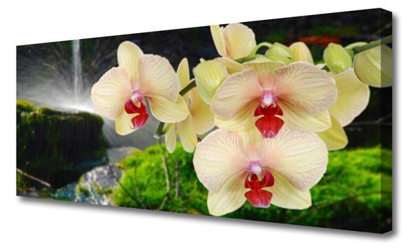 Tablou pe panza canvas Copaci Floral Alb Roșu