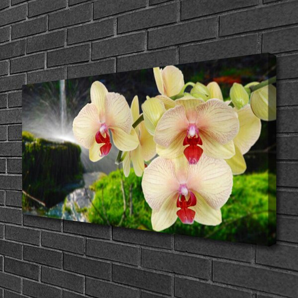 Tablou pe panza canvas Copaci Floral Alb Roșu