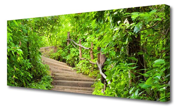 Tablou pe panza canvas Scari Natura Brun Verde