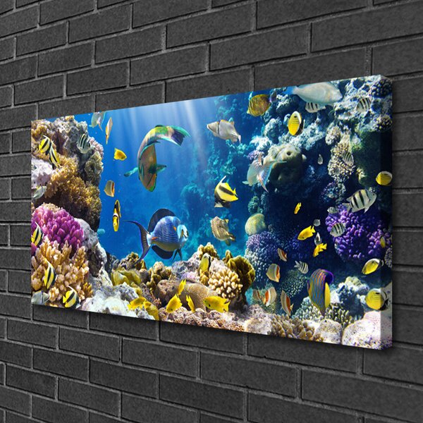 Tablou pe panza canvas Coral Reef Natura Multi