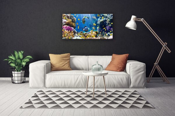 Tablou pe panza canvas Coral Reef Natura Multi
