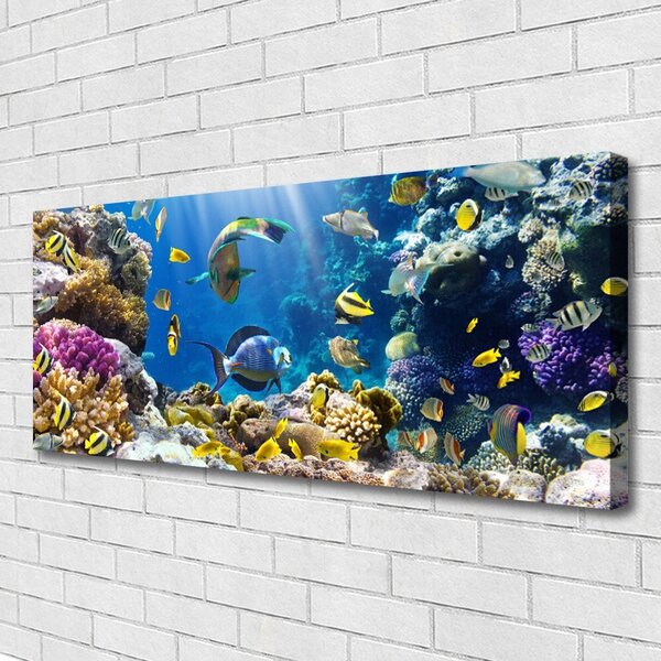 Tablou pe panza canvas Coral Reef Natura Multi