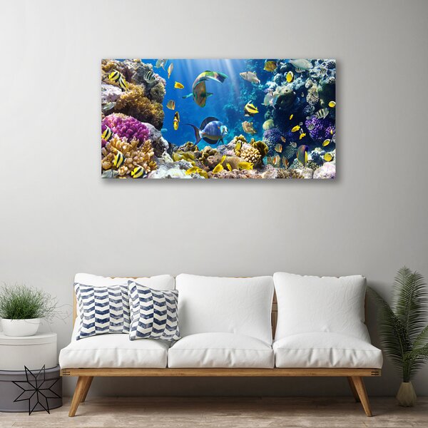 Tablou pe panza canvas Coral Reef Natura Multi