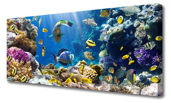 Tablou pe panza canvas Coral Reef Natura Multi