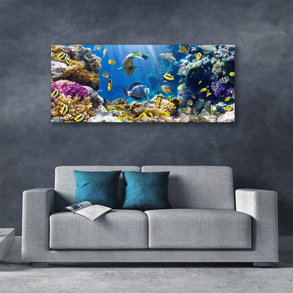 Tablou pe panza canvas Coral Reef Natura Multi
