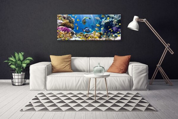 Tablou pe panza canvas Coral Reef Natura Multi