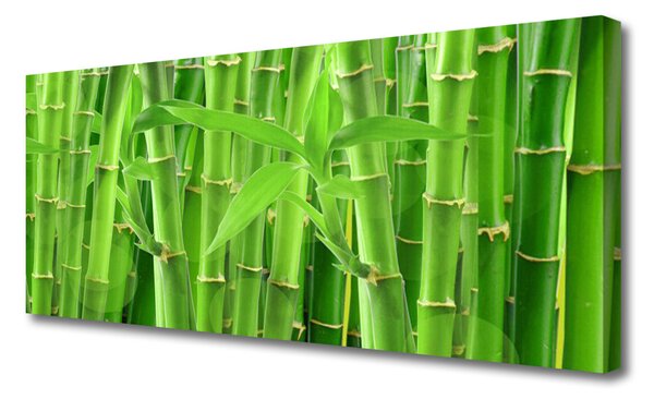 Tablou pe panza canvas Bamboo Peduncul Floral Verde