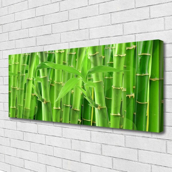 Tablou pe panza canvas Bamboo Peduncul Floral Verde