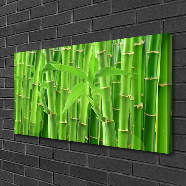 Tablou pe panza canvas Bamboo Peduncul Floral Verde
