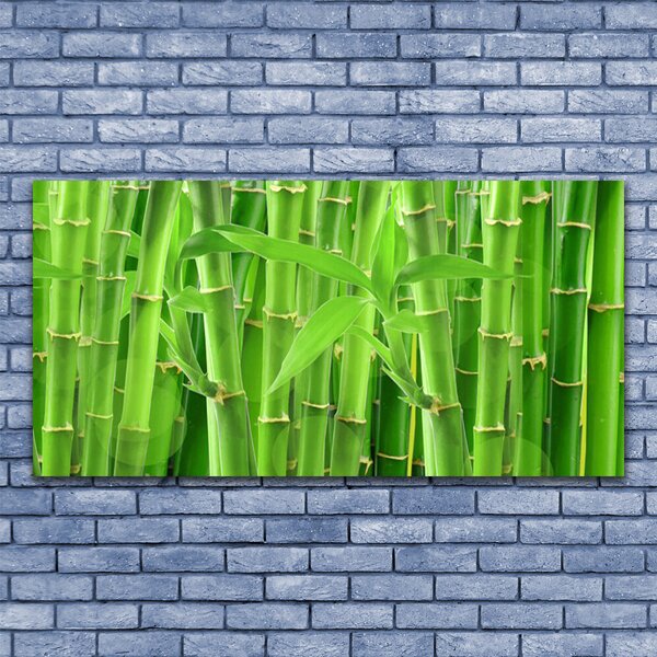 Tablou pe sticla Bamboo Peduncul Floral Verde
