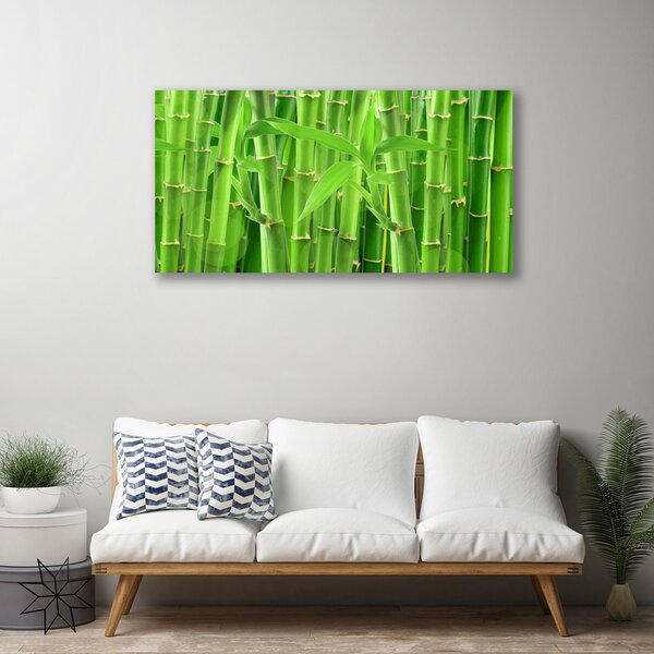 Tablou pe panza canvas Bamboo Peduncul Floral Verde