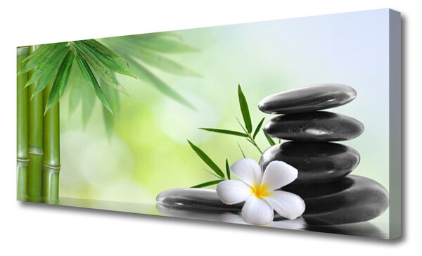 Tablou pe panza canvas Bamboo Peduncul flori Stones Arta Verde Alb Negru