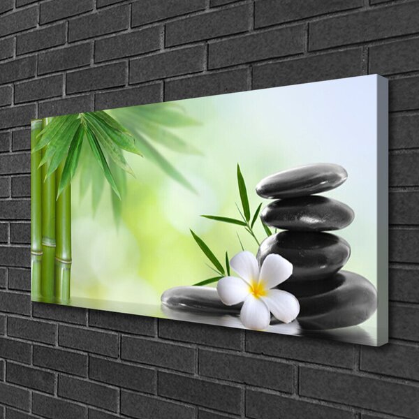 Tablou pe panza canvas Bamboo Peduncul flori Stones Arta Verde Alb Negru