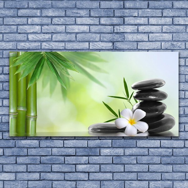 Tablou pe sticla Bamboo Peduncul flori Stones Arta Verde Alb Negru