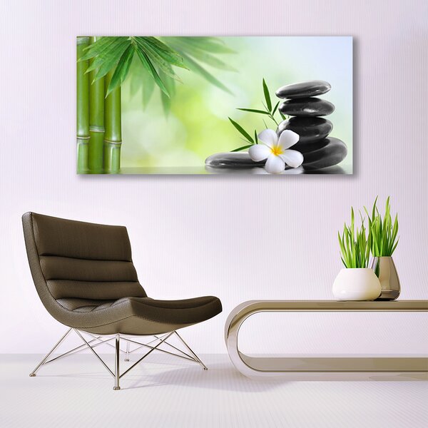 Tablou pe sticla Bamboo Peduncul flori Stones Arta Verde Alb Negru