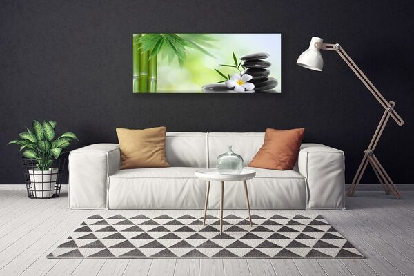 Tablou pe panza canvas Bamboo Peduncul flori Stones Arta Verde Alb Negru