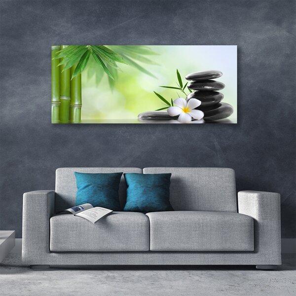 Tablou pe panza canvas Bamboo Peduncul flori Stones Arta Verde Alb Negru