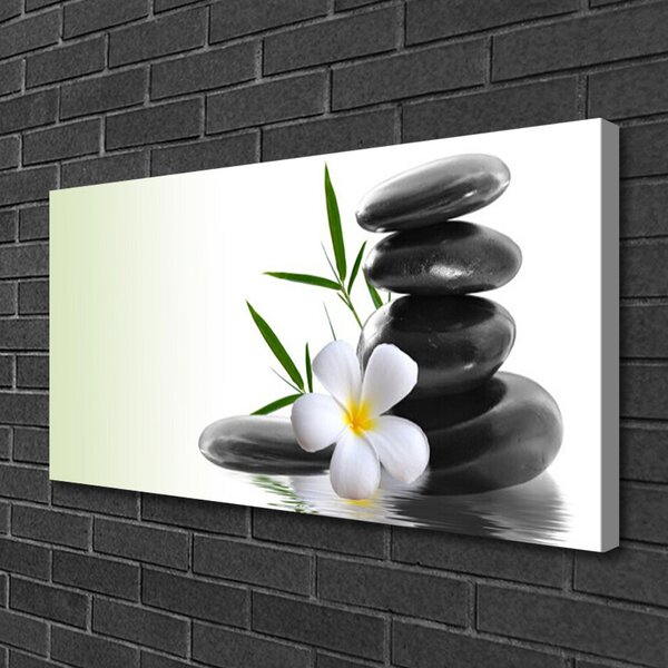 Tablou pe panza canvas Pietrele de flori Arta Alb Negru