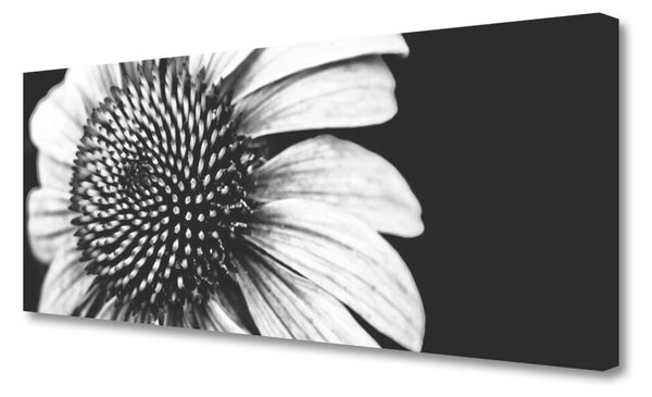 Tablou pe panza canvas Florale flori gri