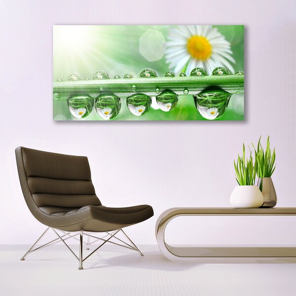 Tablou pe sticla Dew Leaf Natura Verde Alb Margarete Galben