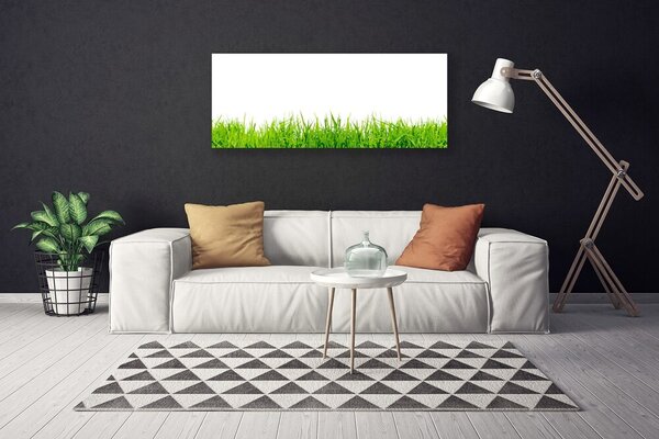 Tablou pe panza canvas Iarbă Natura verde