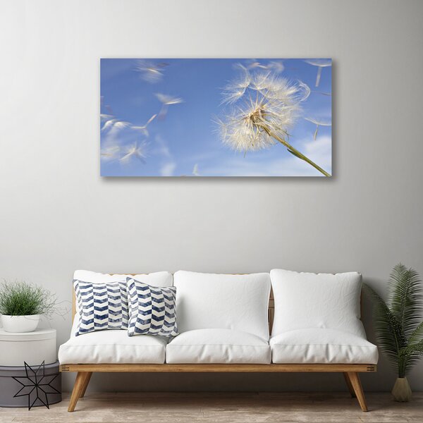Tablou pe panza canvas Păpădie Floral Alb Albastru