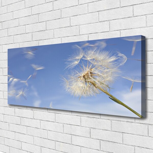 Tablou pe panza canvas Păpădie Floral Alb Albastru