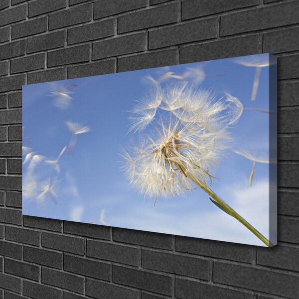 Tablou pe panza canvas Păpădie Floral Alb Albastru