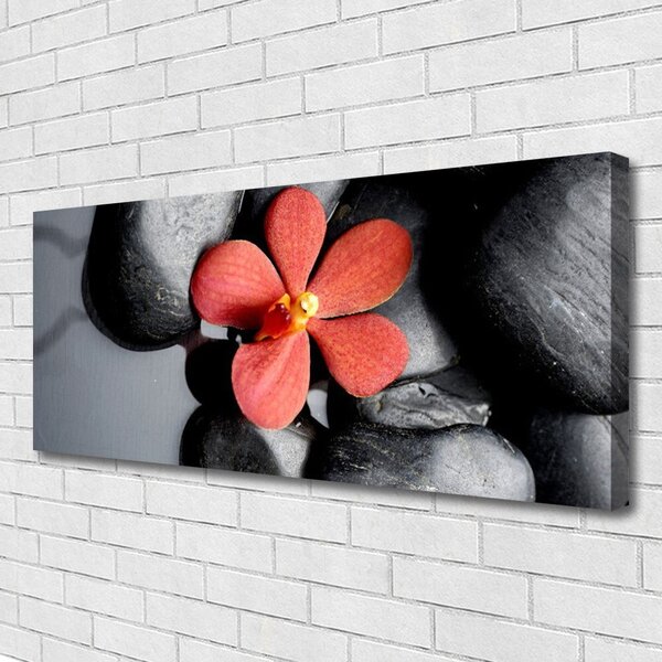 Tablou pe panza canvas Pietrele de flori Art Roșu Gri